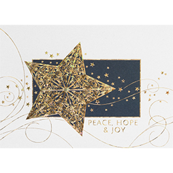 Holiday Starlight - Printed Envelope