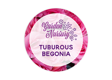 Circle Decals || Outdoor Custom Decals || 3", Full Color